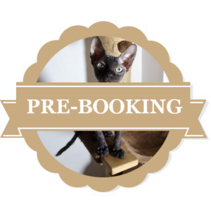 pre-booking