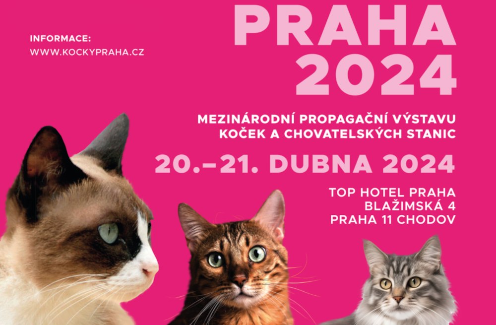 Mezinárodní výstava koček Praha 2024